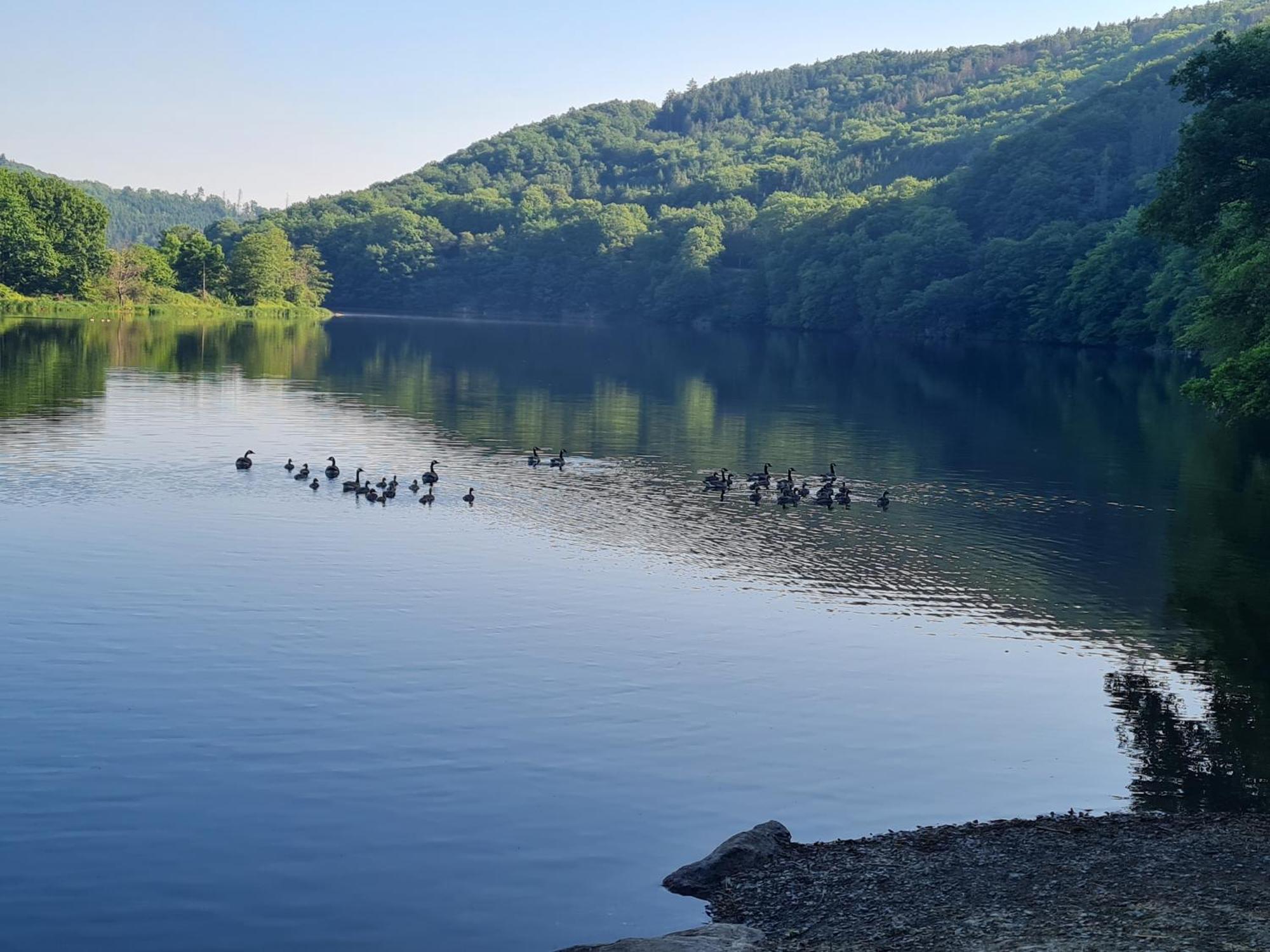 Ferienwohnung Am Rursee -Wohnung 2 Simmerath Δωμάτιο φωτογραφία